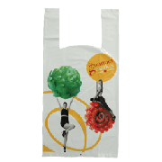 Double Hanging Bags